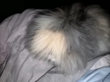 Meisha-Tijeras profesionales de peluquería, herramienta de estilismo para cortar el cabello, 5,5 pulgadas, Japón, 440c, A0027A