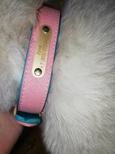 Dog-Collar Id-Plate Engraved Dogs Pitbull Custom Personalized Padded with Tag 2-Layers