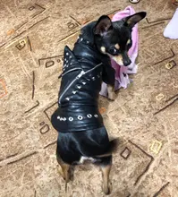 Pet Clothing Costumes Coat Kitten-Outfits Yorkshire Puppy Winter Warm Autumn for Chihuahua