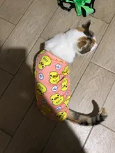 Ropa con estampado de patos para perros pequeños, Camiseta de algodón para cachorros y gatos, chaleco, camisas con perro Chihuahua