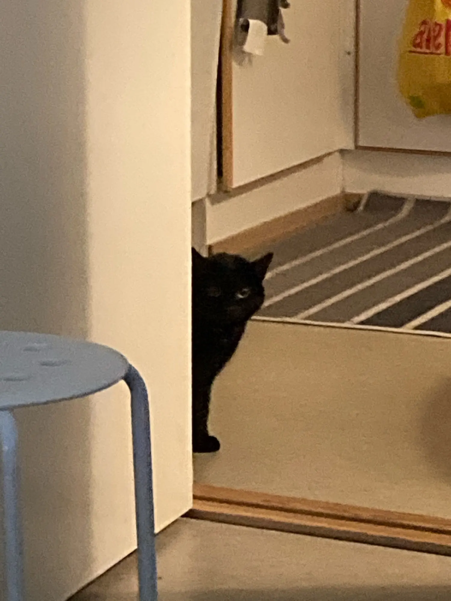 Casque De Jeu Filaire Rose K9 Oreille De Chat Avec Microphone Hifi 7 1 Canaux Musique Pour Ordinateur Portable Nouveau Aliexpress