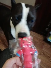 HOOMIN juego de mascotas juguetes para masticar para perros y gatos, mascotas animales de forma caucho chillón juguete para perros con sonido Juguetes