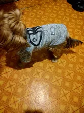 Sweatshirt Coat Puppy Yorkies Dog Chihuahua Cotton Fish-Bone-Print for Small Cats Cozy