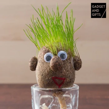 

Egg Grass Head