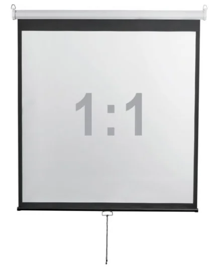 Экран настенный Digis DSOD-1105 формат 1:1 112" (206x209) MW Optimal-D |