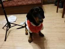 Christmas Dog Clothes Small Dogs Santa Costume for Pug Chihuahua Yorkshire Pet Cat Clothing