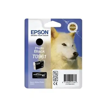

Black Ink Cartridge for STYLUS PHOTO R2880 HUSKY