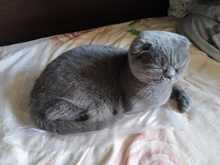 Pantalones largos sencillos Vintage a cuadros para mujer, pantalón de pierna ancha, informal, moda urbana