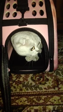 Bolsa de transporte portátil para perros y gatos, bolso plegable de viaje para mascotas, bolso de hombro de malla para cachorros, S/M/L