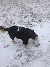 Dog-Coat Winter HOOPET for Dogs Clothing Warm Christmas Big