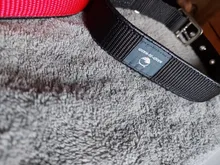 Necklace Collier Reflective-Collar Dogs Pitbull Chien Padded Nylon Adjustable Outdoor