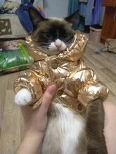 Ropa de abrigo para Perros Bulldog Francés, Ropa de cachorro, Chihuahua, yorkie, abrigo de perrito mascota, chaqueta, perros, mascotas