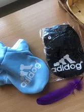 Adidog-ropa para perros pequeños, chaqueta con capucha deportiva de invierno, suéter de algodón suave abrigado puro, Chihuahua de peluche, ropa para cachorros