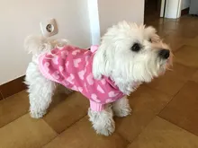 Dog-Sweater Puppy Jumperpet Dogs Medium Warm Cat for Small Jacket Hoodie Hearts