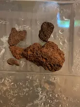 Rings Media Bio-Balls FISH-TANK-FILTER Aquarium Ceramic Activated-Carbon Clear-Water