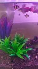 15CM/10CM Underwater Artificial Aquatic Plant Ornaments For Aquarium Fish Tank Green