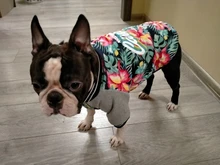 Jacket Costume Coat Bulldog-Clothes Small Dog Pug French Winter Pet-Dog Warm Cute 