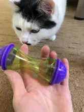 Bowl Feeder Food-Ball Tumbler Pets-Supplies Leakage Feeding-Toys Training Cat Exercise