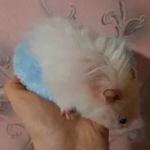 Ferret Bed Hamster-Cage Mini-Mat Guinea-Pig Small Sleeping-Bed Soft-Fleece Winter