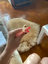 Humidifier Diffuser-Parts REPLACE-FILTER Aroma Cottons-Swab USB for Usb-Air Can-Be-Cut