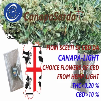

"AMNESIA" leaves and flowers CBD Italian product No. T.H.C. Less 0.2% EU Standard 100% special offer legal 10 grams