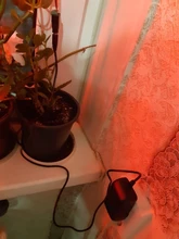 Driver-Adapter Led-Strip-Lights Led-Power-Supply 220V 12v 24w Dc 12v To 2A EU for Eu-Us-Plug