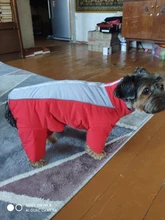 Winter Overalls for Dogs Warm Waterproof Pet Jumpsuit Trousers Male/ Female Dog Reflective