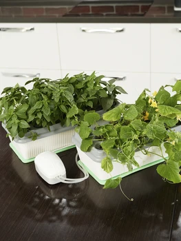 

Double propagator