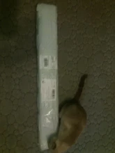 Led-Lamp Dimmer Fish-Tank-Light Aquarium Sunrise Sunset Marine Automatic Full-Spectrum