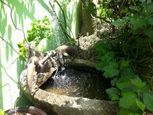 Fountain-Irrigation-System Watering Pool-Water-Pump Garden-Decoration Plants Solar-Power