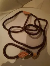 Rope-Belt Pet-Products Dog-Harness Dog-Lead-Leash Lightweight Nylon Training Walking