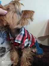 Ropa de verano para perros pequeños, Camiseta de algodón para gatos y perros, chaleco para cachorros, camisas para Chihuahua y Yorkshire, productos para mascotas