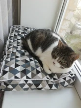 Pet-Bed-Mats House Bench Pet-Kennel Dog-Bed Dogs Large Sofa Puppy Cats Kitten Small 