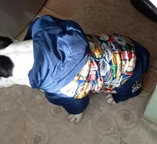 HOOPET Large Coat Down-Jacket Winter New Warm Autumn for Dogs Dog-Prints Overalls Leisure-Style