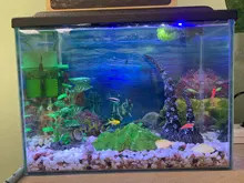 RGB Aquarium Lamp Light Remote-Control Fish-Tank-Essential Plants Colorful for Amphibious-Use