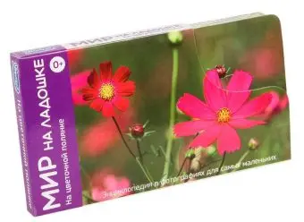 

Developing manual "the world on the palm. On the flower clearing "clever 2034