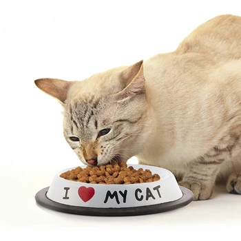 

Pet feeding dish I Love My Cat