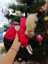 Jacket Bulldog-Clothing Pet-Coat Puppy Dogs Pug Chihuahua French Waterproof Winter Small