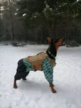 Vest Harnesses Pet-Training Dogs Military-Working Tactical Medium Nylon Durable for Large