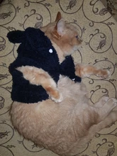 Ropa de Gato caliente para mascotas, abrigo, chaqueta para perros pequeños, medianos, gatos, Chihuahua, ropa de Yorkshire, disfraz rosa, S-2XL