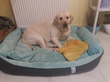 Bed Pet-Bed Labradors-House HOOPET Small Large Soft Warm Winter for Medium Big