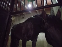 Solar-Lamp Cable Solar-Pendant-Light Double-Head IP65 Garden Outdoor Waterproof Suitable-For