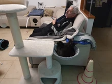 Cat Hammock Pet-Bed Hanging Sleeping-Kennel Install-On-Cat-Tree Soft Plush Dia Big-Capacity