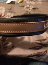 Padded Dog-Collar Pitbull Customized Engraved Dogs Big Pet for Medium Large Perro