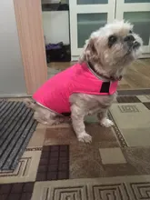 Dog-Down-Jacket French-Bulldog-Vest Pet-Chihuahua-Coat Dogs Reflective Reversible Winter