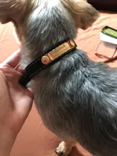 Pawstrip grabado Collar de perros de piel sintética Etiqueta de mascota Collar para perros Bulldog francés Pitbull, perro grande Collar de cachorro.