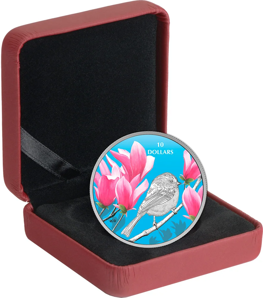 CHICKADEE Cincia птицы среди природы цвета Серебряная монета 10$ Канада
