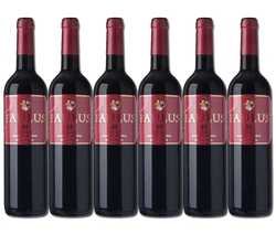 Vino tinto PAULUS Rioja cosechero Vinos Tinto Joven D.O.C Rioja 6 de 750 ml - Total: 4500 ml