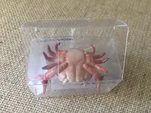 Japoneses nuevos creativos lindo cangrejo pluma titular halterofilia cangrejos Penholder estante soporte de almacenamiento regalo papelería