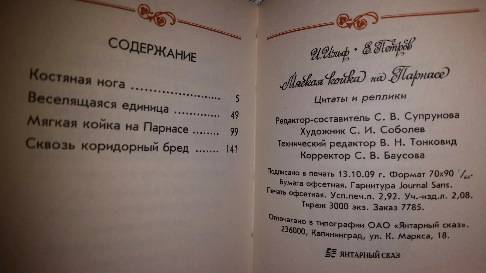 Рисунок 6 - Современная коллекция 2010 года